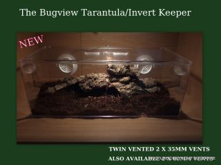 Tarantula Insect Reptile Enclosure Vivarium Tank Cage