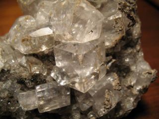Classic Linwood Quarry Iowa Calcite Crystal Cluster
