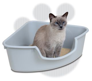 SmartCat Corner Litter Box Gray Color Cat