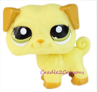 Littlest Pet Shop ♥ LPS ♥ Lemon Yellow Pug Dog RARE 2589 New