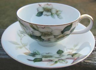Occupied Japan Meito Norleans Livonia Cup and Saucer