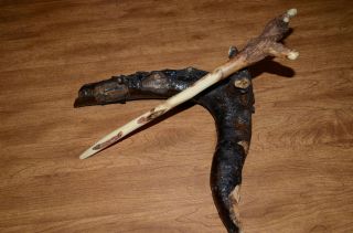 Wand Locust Wood Handcrafted One of A Kind Work of Wood Art