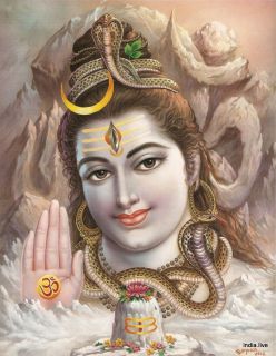 Lord Shiva Shiv Amazing Poster 9x11 1703