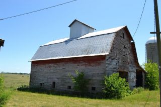 Grain Elevator Barn for re Purpose or Lumber Must See
