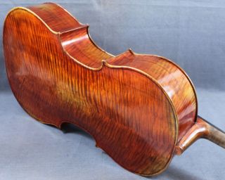 Concert Maestro Stradi 4 4 Cello Old Spruce M2490 Antique Oil Varnish