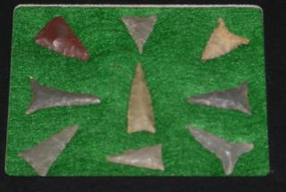 Tennessee Indian Arrowheads Artifacts x Quality Bird Points