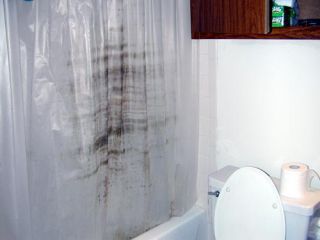 Vinyl Shower Bathroom Kitchen Curtain Cleaner Mold Mildew Strong Stain
