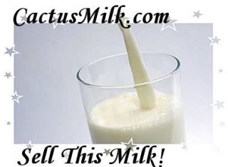Cactus Milk com Domains Key Words Customers Milk Route