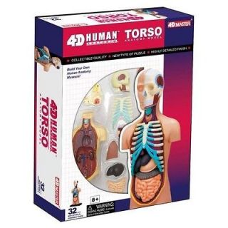 Body Torso 32pcs Human Anatomy 3D Model NEW Biology Medical Education