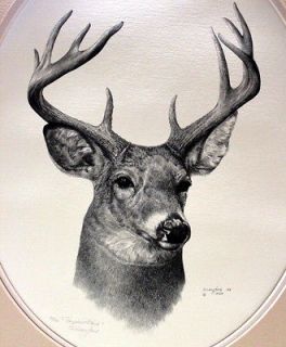 Original Pastel Drawing Whitetail Deer & Sunset Wildlife Art Porter