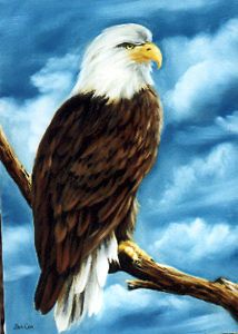 Bob Ross Painting Packet~Wildlif e~Eagle