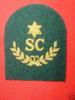 ROYAL MARINES SWIMMER CANOEIST SC PATCH 3RD CLASS SBS GREEN SPECIAL