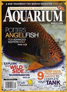 FRESHWATER MARINE AQUARIUM FISH 2008 DWARF ANGELFISH Nudibranches