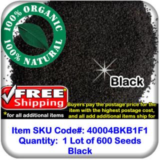 Black Tulsi Holy Basil Ocimum Sanctum Pure Natural Dried Organic