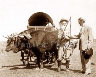 MEEKER COVERED WAGON OXEN   COWBOY TEX COOPER 101 RANCH SHOW PHOTO