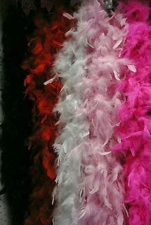 Feather Boas   6 long Assorted Colors for Dress up, Bachelorette