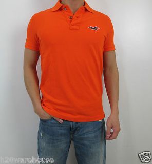 NWT HOLLISTER Mens Slim Muscle Fit Green Pacific Polo T Shirt By