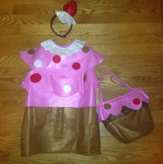 Pottery Barn Birthday Cupcake Dress Up Costume 2 3T EUC