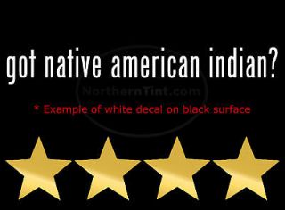 Indian Native American Feather Beads Wall Art Vinyl Decal Decals