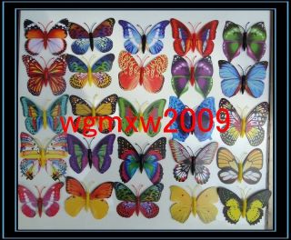 50 PCS mixed magnetic butterfly wedding festival party decoration 3