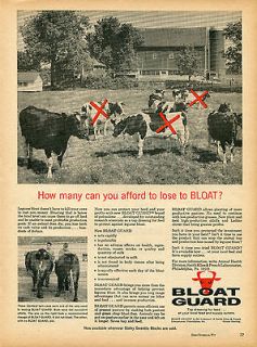 1966 Smith Kline & French Labs Bloat Guard Cattle Cow Feed Ad