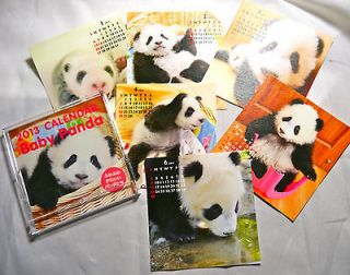 12 Month 2013 Stand Up Desk Calendar   Helps Support Panda Center