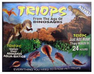 Sea Pet Triops Eggs Packet Educational Grow Your Own Triop Prehistoric