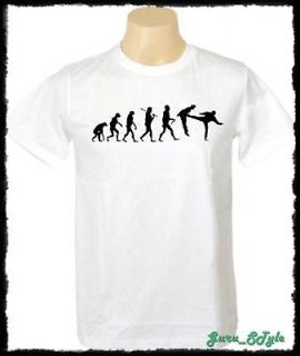 Kung Fu Fighter Boxing Evolution Funny T shirt Stencil Men Graffiti L