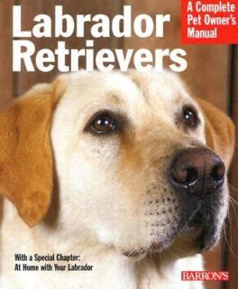 Labrador Retrievers  Everything about History, Purchase, Care