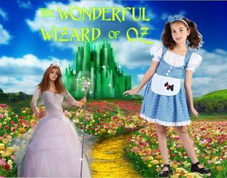 Dorothy Wizard of Oz fancy dress up BNIP 4 11years Book Week Costume
