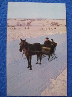 AMISH HORSE DRAWN SLEIGH SNOW PENNSYLVANIA DUTCH COUNTRY POST CARD