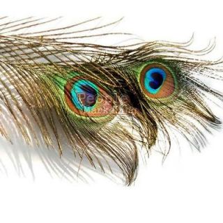 10 Peacock Eye Tail Feather For Accessory DIY Masquerade Decoration