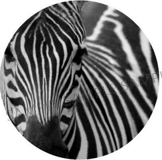 Large ZEBRA FACE   Edible Cake Toppers Edible Rice Paper See Options