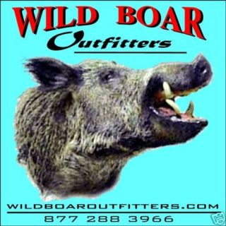 Hog Hunt, Wild Boar in East TX, 2 Nite Lodging included