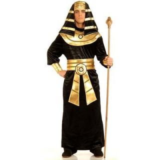 Pharaoh Costume Fancy Dress Up Adult Egypt Mens King