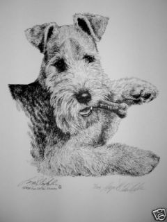 Lakeland Terrier Puppy With Cookie By Lyn St.Clair