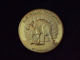 oz Gold Kangaroo Australian Coin 2011 Limited Edition RARE New
