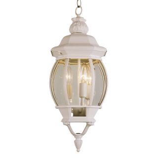 Trans Globe Lighting Bel Air Bayville Outdoor Hanging Lantern   25H in.   4066
