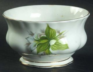 Royal Albert Trillium Mini Open Sugar Bowl, Fine China Dinnerware   White Flower
