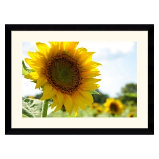 J and S Framing LLC Sunflowers Framed Wall Art   38.62W x 28.62H in. Multicolor