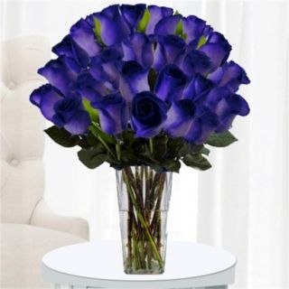 Purple Tinted Rose with Vase   24 Stems