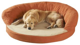 Bolster Dog Bed With Memory Foam / Small Dogs Up To 40 Lbs.