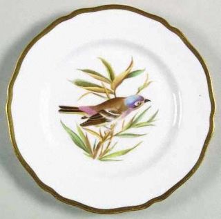 Spode Audubon Birds Bread & Butter Plate, Fine China Dinnerware   Bone, Various