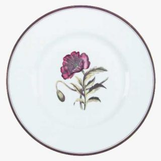 Royal Worcester Williamson Flower Dinner Plate, Fine China Dinnerware   Various