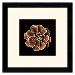 J and S Framing LLC Ruffles in Taupe Framed Wall Art   11.12W x 11.12H in.