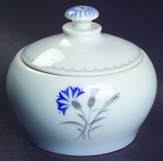 Bing & Grondahl Cornflower Blue Edge Sugar Bowl & Lid, Fine China Dinnerware   B