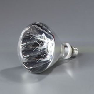 Carlisle Heat Lamp Bulb   250 watt, White