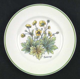 Tiffany Wild Flowers Salad Plate, Fine China Dinnerware   Different Flowers In C