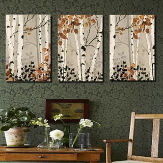 Stretched Canvas Art Botanical Maple Tree Set of 3