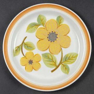 Royal Doulton Summer Days Luncheon Plate, Fine China Dinnerware   Brown Band,Yel